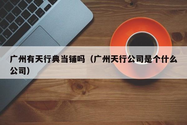 广州有天行典当铺吗(广州天行公司是个什么公司)